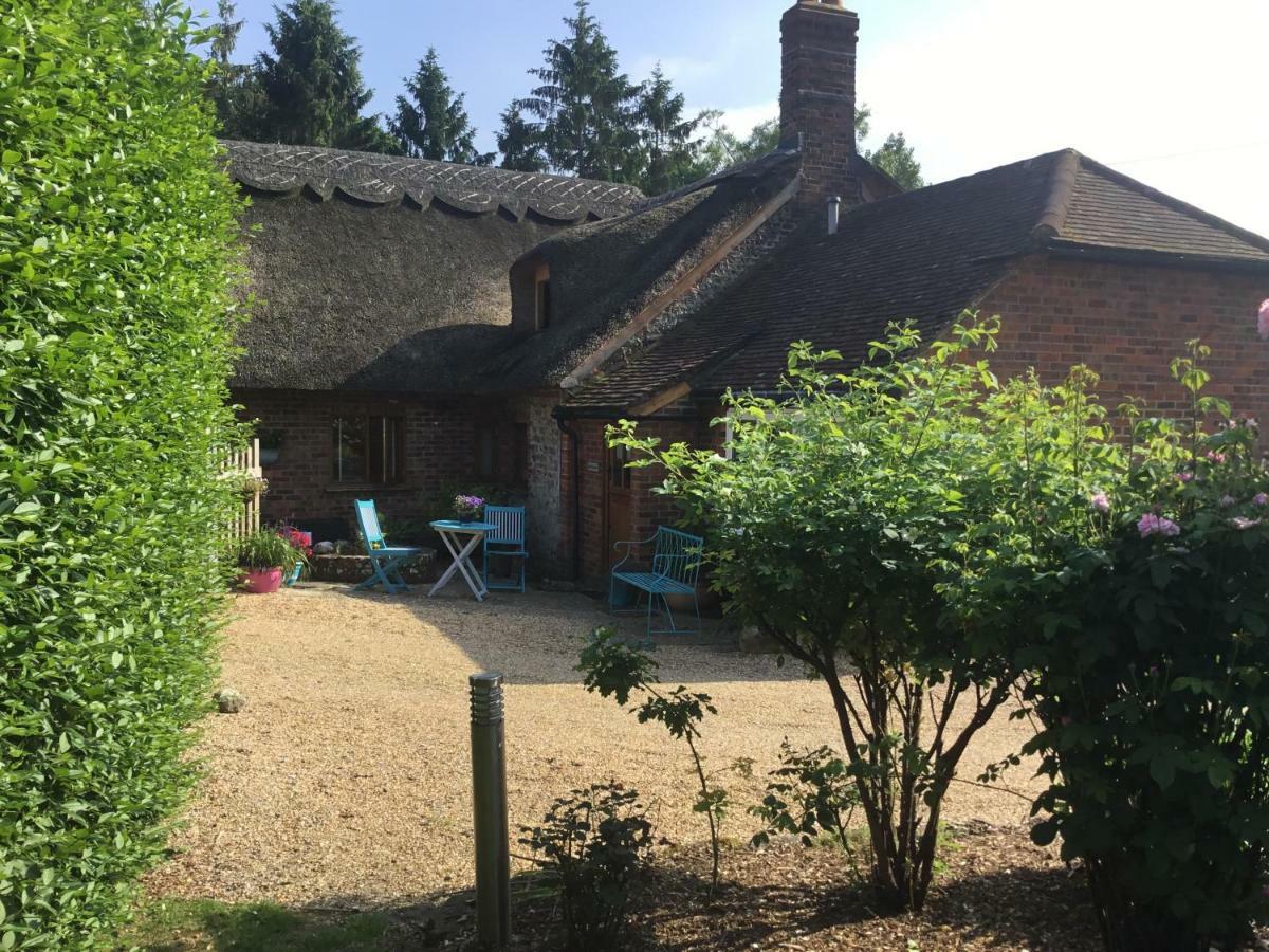 Thatched Cottage Pulborough Buitenkant foto